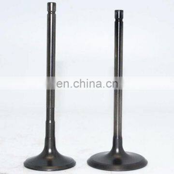 Global Manufacturer Workshop Suppliers Engine Valve For Iveco Daily Citys Bus 3.0 photo-5