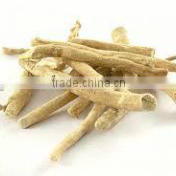 Superior Quality Ashwagandha Powder Bulk Sales