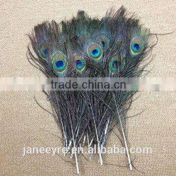Custom Design Peacock Feather Wholesale