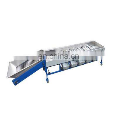 Cherry Olives Wash Grade Working Line Fruit Automatic Sorting Machine photo-4