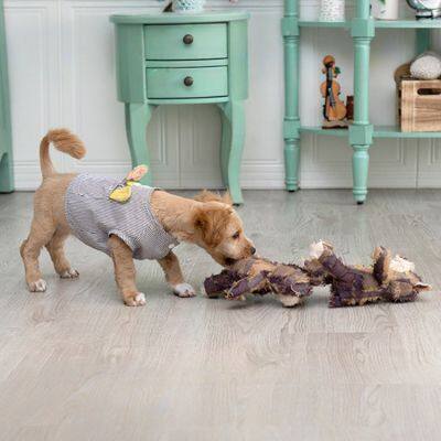 Teddy Bear photo-3
