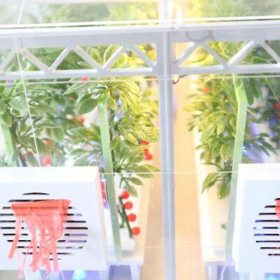 Agricultural Greenhouse Sand Table Model Manufacturer photo-1
