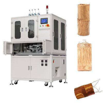 Hollow Cup Motor Coil Fully Automatic Winding Machine | Brushless Coreless Motors Winding Equipment