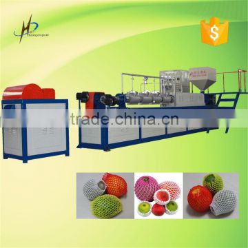 China Leading Supplier EPE Foamed Net Machine