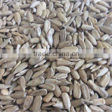 Best quality sunflower seed kernels market price