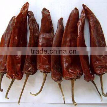 New Crops, Dry Sweet Paprika photo-2