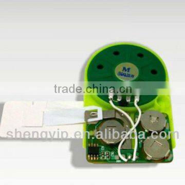 high quality sound recording IC moudle