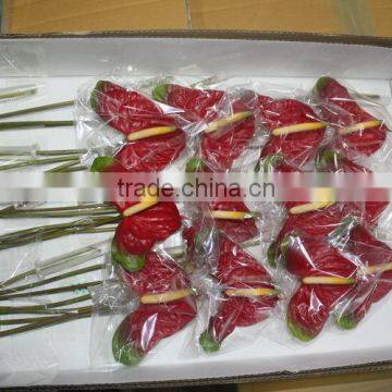 Elegant in Smell Factory Direct Fresh Antirrhinum Bunch