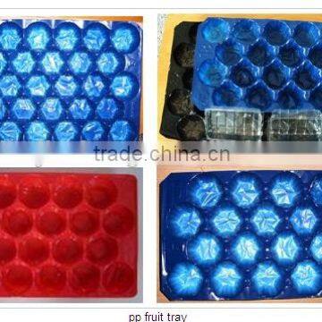 Disposable plastic fruit tray