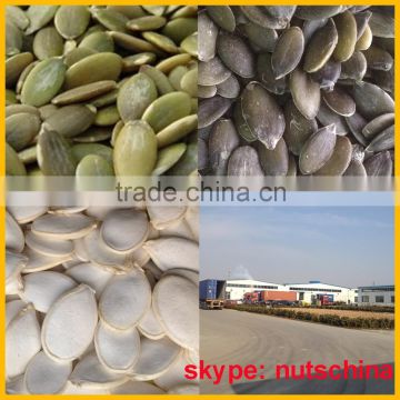 Shine Skin Pumpkin Seed kernels