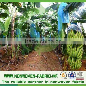 Efficient Agriculture Hydroponics System Type UV Cover Fabric Material Grow Bags photo-2