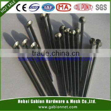 Common Iron Wire Nails(ISO9001:2008, CE, SGS certificate, Anping factory)