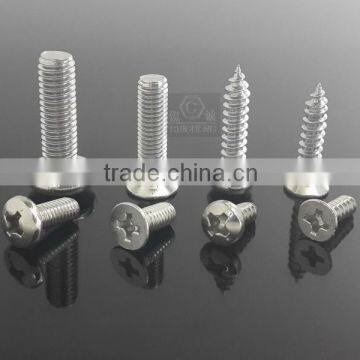 SS Screw