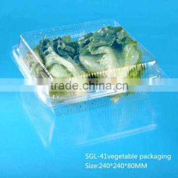 Disposable Plastic Take Away Mushroom Packaging Box