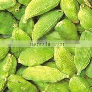 Cardamom photo-6