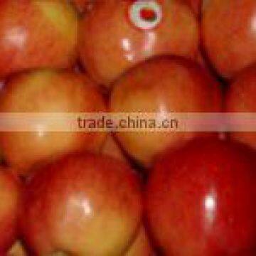 Fresh Apples