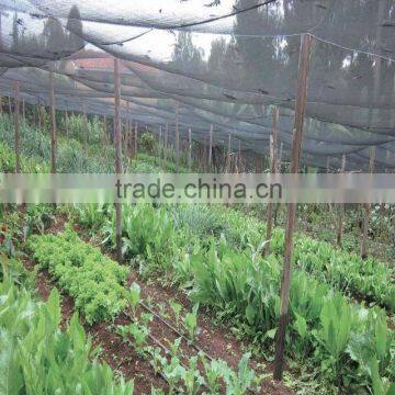 vegetable garden enclosures