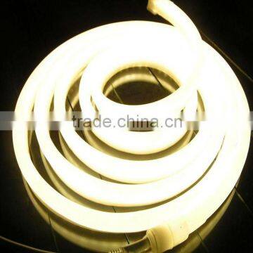164- LED Neon 2-Wire Rope Light Spool(37 LEDs per foot)