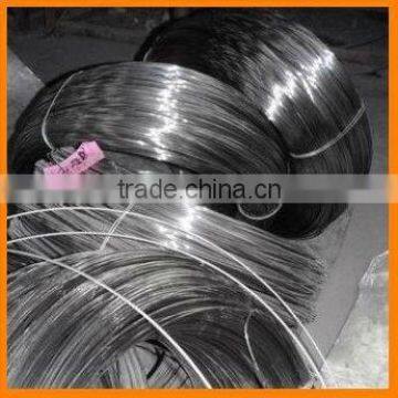 Metal Building Material: Stainless steel wire