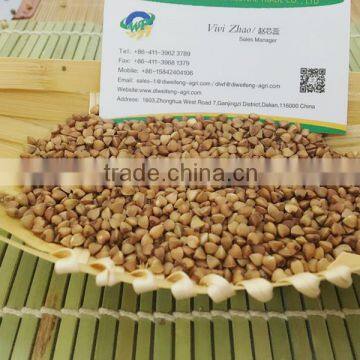 Chinese Roasted Buckwheat Kernel for Georgia Wholesale photo-2