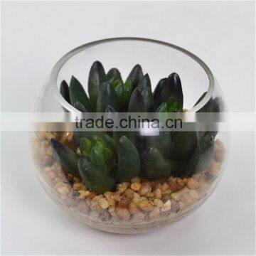 Gift Christmas Decoration Artificial Plant Round Terrarium