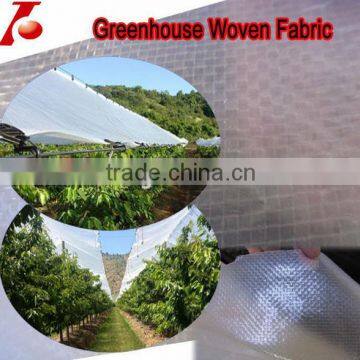 Transparent PE Tarpaulin For Greenhouse Cover