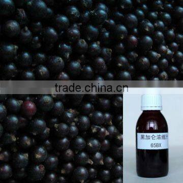 100% Natural Black Currant Concentrate Juice