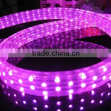 Super brightness warm white RGB 5050 SMD led flexible strip light