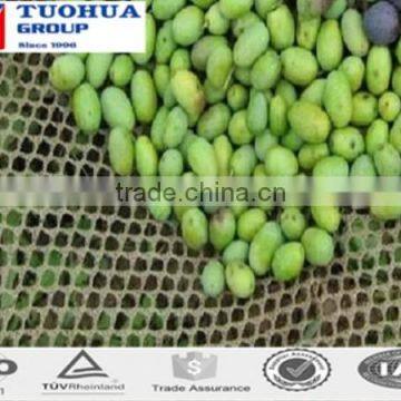 Olive Fruit Collection Net Factory