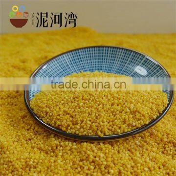 Hot Seal Yellow millet Yellow Broomcorn Millet