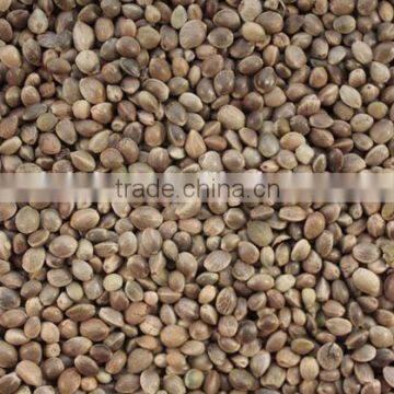 Hot Selling Wholesale Agricultural Hemp Seeds photo-2