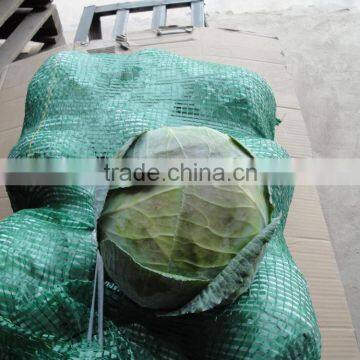 Fresh and green vegetable wholesale cabbage