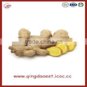 Chinese Fresh Ginger