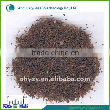 Traditional Chinese Herb Plantago asiatica (Che qian zi)