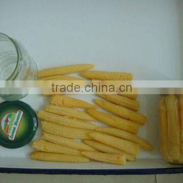 Canned Baby Corn Whole /Cut