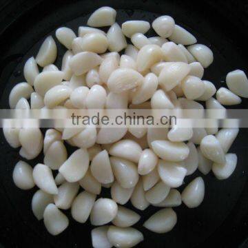 organic garlic segment in brine garlic cloves