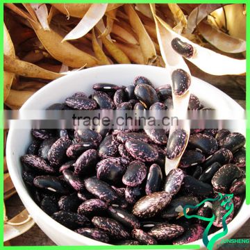 Black Speckled Kidney Bean Factory Price