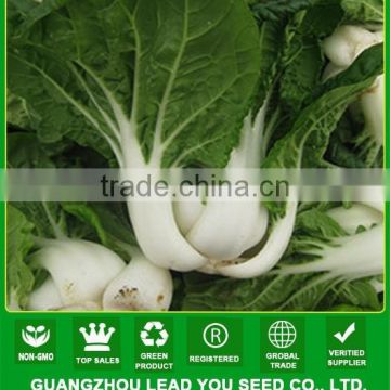 NCC02 Xiami chinese cabbage seeds factory, pak choi seeds