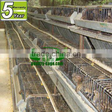 cheap high quality galvanized wire mesh layer quail cage