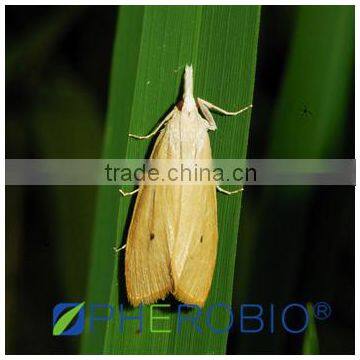 Pheromone Lure for Tryporyza incertulas and trap set