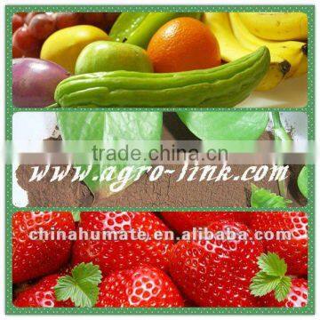 what is Fulvic Acid Fertilizer