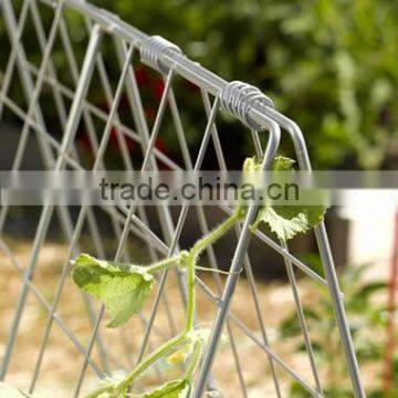 galvanized cucumber trellis of plant support