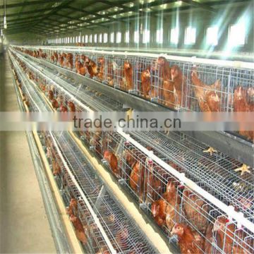 Chicken cage for poultry farming