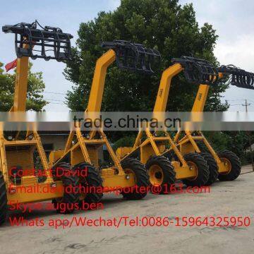 Bell Type Cane Loader photo-3