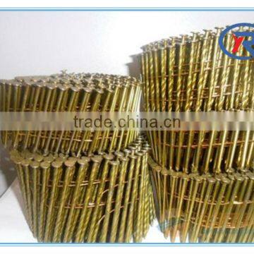 China High Quality Galvanized Coil Roofing Nails photo-3