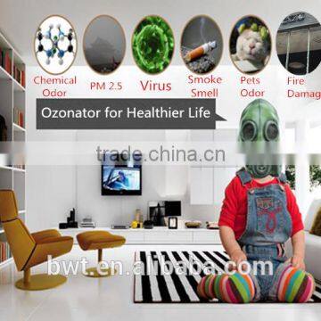 Air Treatment Ozonizer for Formaldehyde Treatment After Home Decoration photo-5