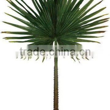 Hot Sale 2.8 Meter Coconut Trees Leaves, Artificial Coconut Trees Leaves photo-6