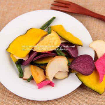 Assorted fruit and vegetable chips/Assorted fruit and vegetable chipsOEM