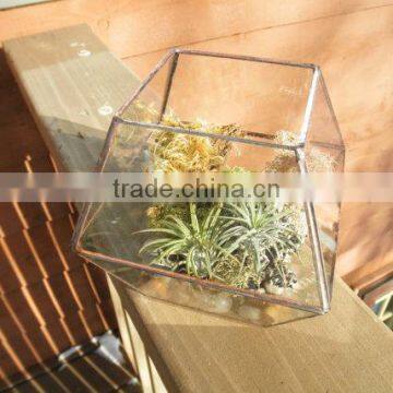Simple Clear Glass Planter Terrarium photo-4