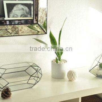 Indoor Gardening Geometric Glass Terrarium Container Succulent Planter photo-4